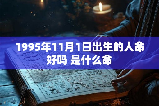 1995年11月1日出生的人命好吗 是什么命