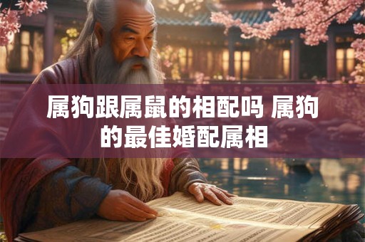 属狗跟属鼠的相配吗 属狗的最佳婚配属相 属狗跟属鼠的相配吗 属狗的最佳婚配属相