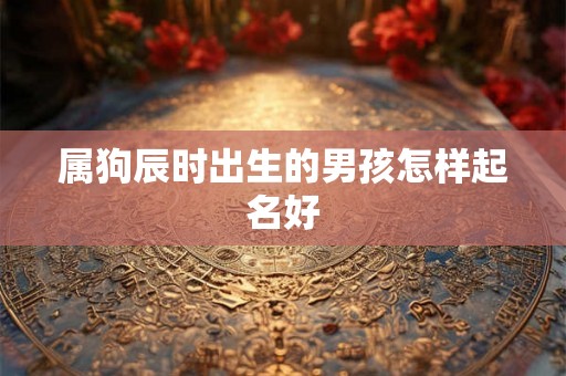 属狗辰时出生的男孩怎样起名好