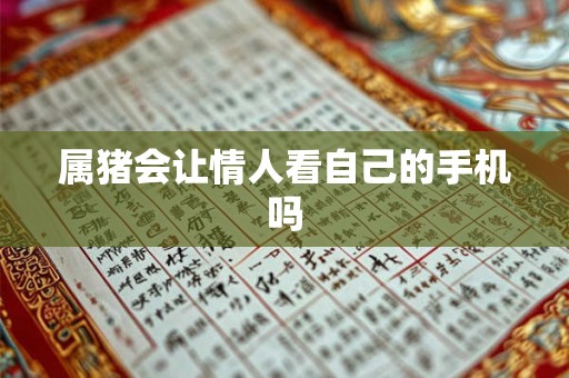 属猪会让情人看自己的手机吗 属猪会让情人看自己的手机吗