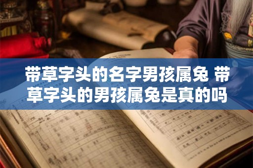 带草字头的名字男孩属兔 带草字头的男孩属兔是真的吗 带草字头的名字男孩属兔 带草字头的男孩属兔是真的吗