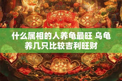 什么属相的人养龟最旺 乌龟养几只比较吉利旺财 什么属相的人养龟最旺 乌龟养几只比较吉利旺财