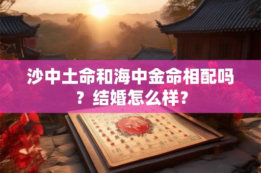 沙中土命和海中金命相配吗？结婚怎么样？