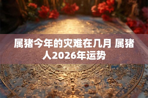 属猪今年的灾难在几月 属猪人2026年运势