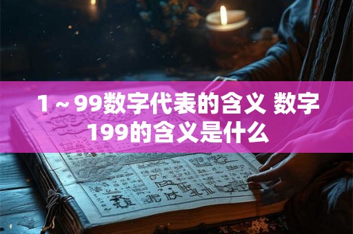 1～99数字代表的含义 数字199的含义是什么