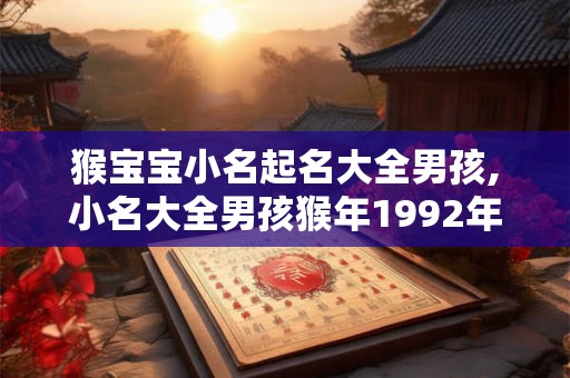 猴宝宝小名起名大全男孩,小名大全男孩猴年1992年出生