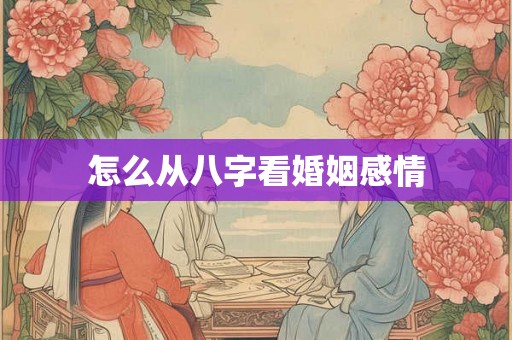 怎么从八字看婚姻感情