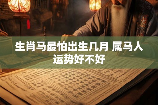 生肖马最怕出生几月 属马人运势好不好