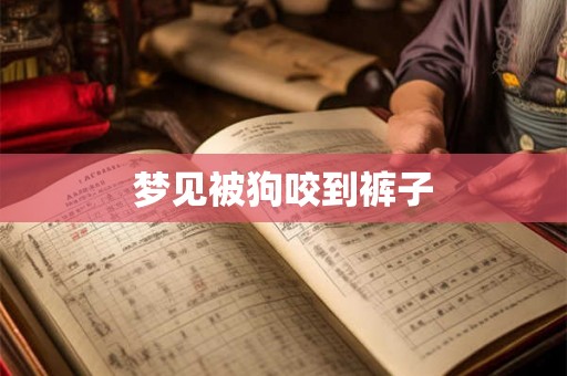 梦见被狗咬到裤子