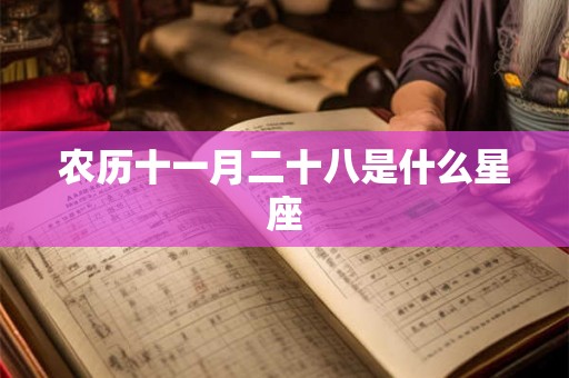 农历十一月二十八是什么星座