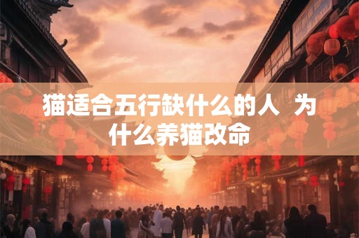 猫适合五行缺什么的人  为什么养猫改命
