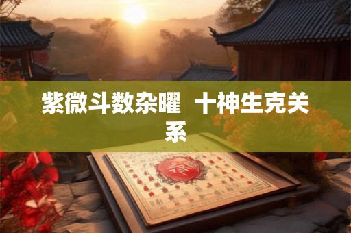 紫微斗数杂曜  十神生克关系