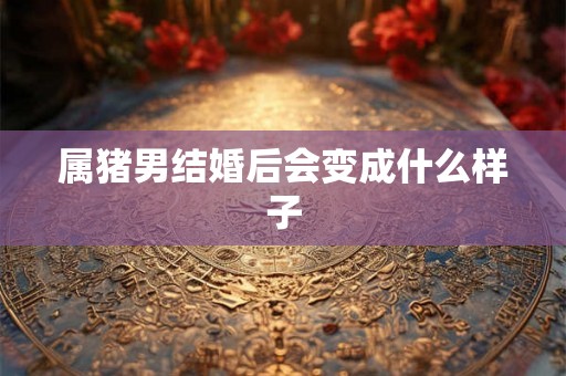属猪男结婚后会变成什么样子