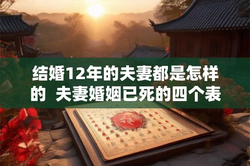 结婚12年的夫妻都是怎样的  夫妻婚姻已死的四个表现