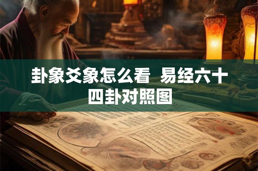 卦象爻象怎么看  易经六十四卦对照图