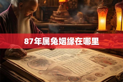 87年属兔姻缘在哪里