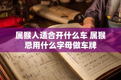 属猴人适合开什么车 属猴忌用什么字母做车牌