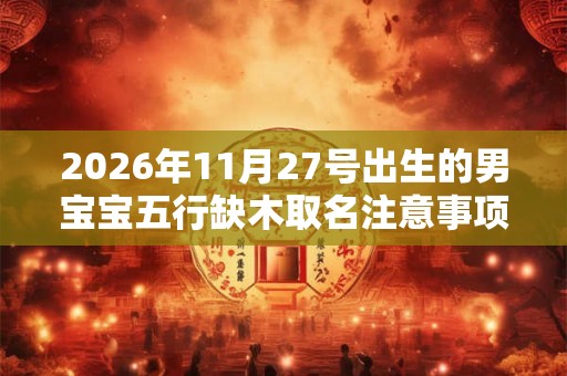 2026年11月27号出生的男宝宝五行缺木取名注意事项