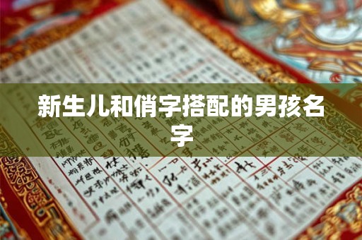 新生儿和俏字搭配的男孩名字 新生儿和俏字搭配的男孩名字