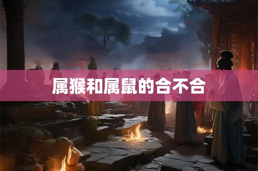 属猴和属鼠的合不合 属猴和属鼠的合不合