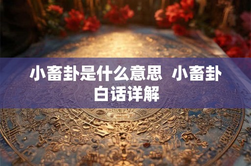 小畜卦是什么意思  小畜卦白话详解