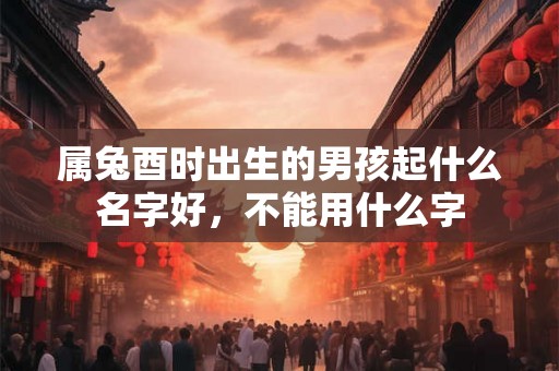属兔酉时出生的男孩起什么名字好，不能用什么字