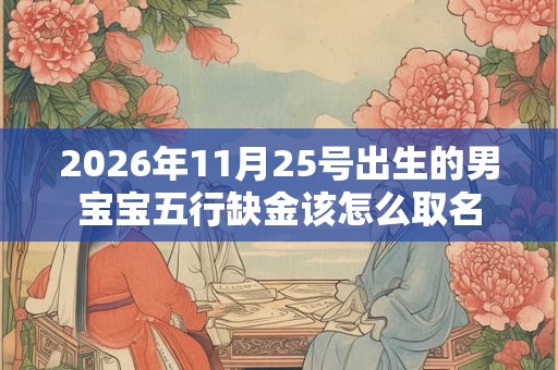 2026年11月25号出生的男宝宝五行缺金该怎么取名