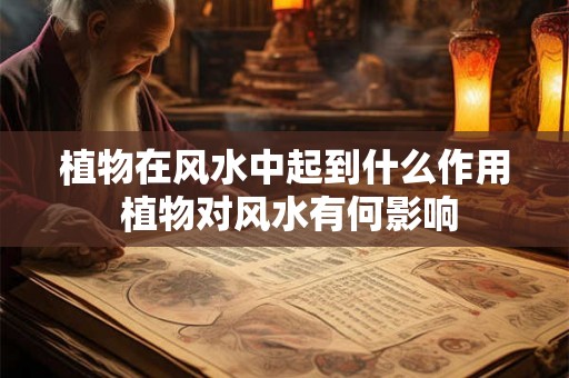 植物在风水中起到什么作用 植物对风水有何影响