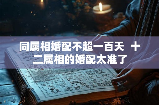 同属相婚配不超一百天  十二属相的婚配太准了