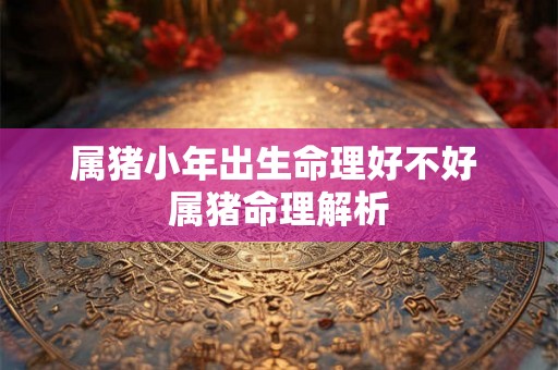 属猪小年出生命理好不好 属猪命理解析