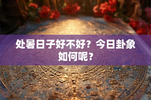 处暑日子好不好？今日卦象如何呢？