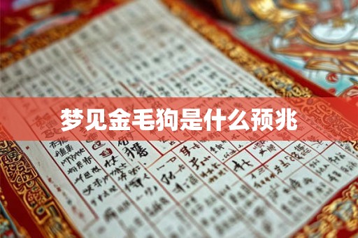 梦见金毛狗是什么预兆