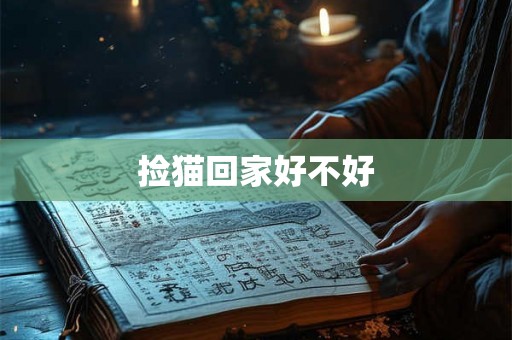 捡猫回家好不好 捡猫回家好不好