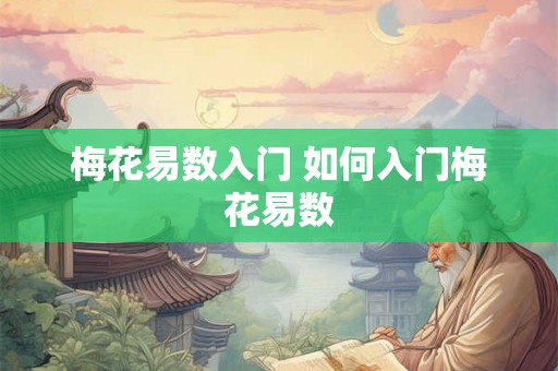 梅花易数入门 如何入门梅花易数