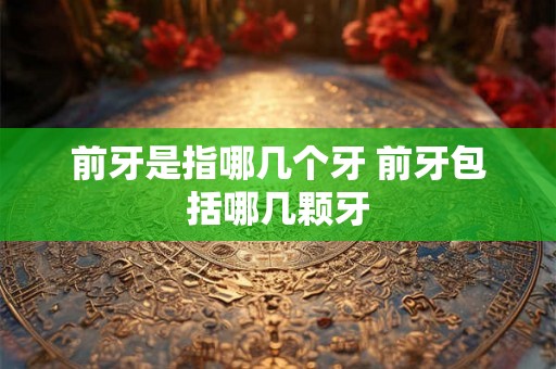 前牙是指哪几个牙 前牙包括哪几颗牙