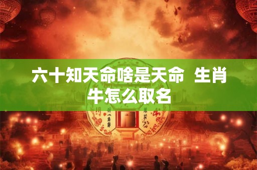 六十知天命啥是天命 生肖牛怎么取名 六十知天命啥是天命 生肖牛怎么取名