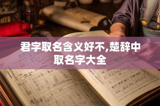 君字取名含义好不,楚辞中取名字大全 君字取名含义好不,楚辞中取名字大全