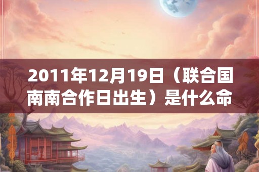 2011年12月19日（联合国南南合作日出生）是什么命_命运如何