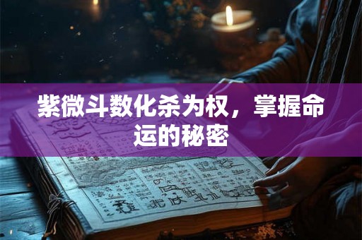 紫微斗数化杀为权，掌握命运的秘密