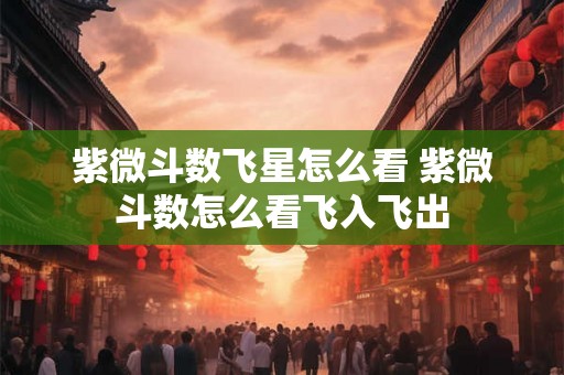 紫微斗数飞星怎么看 紫微斗数怎么看飞入飞出