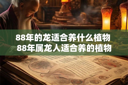 88年的龙适合养什么植物 88年属龙人适合养的植物