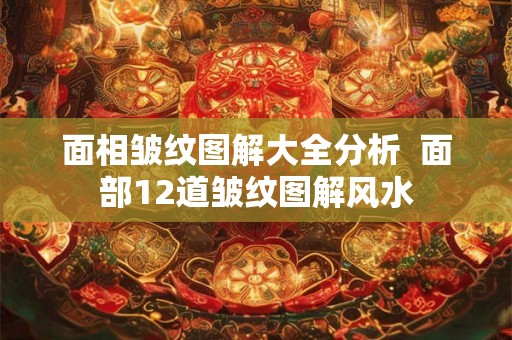 面相皱纹图解大全分析  面部12道皱纹图解风水