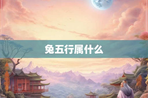 兔五行属什么