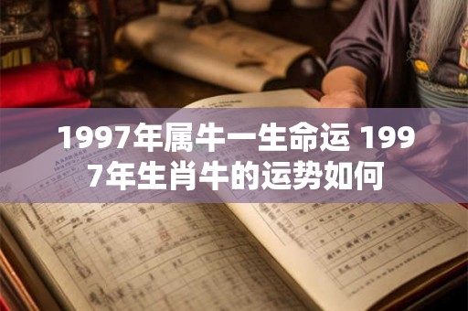 1997年属牛一生命运 1997年生肖牛的运势如何