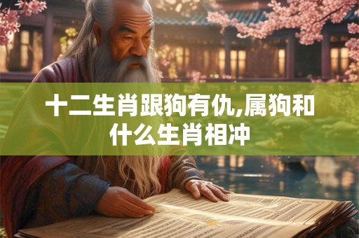 十二生肖跟狗有仇,属狗和什么生肖相冲