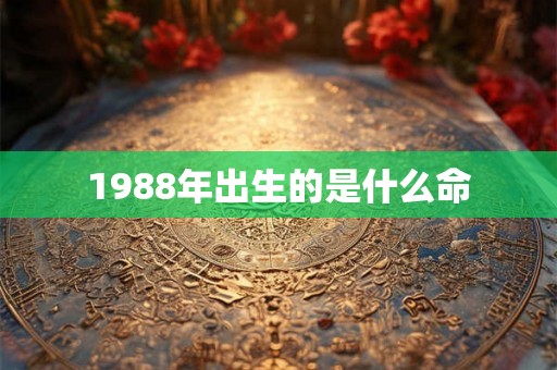 1988年出生的是什么命