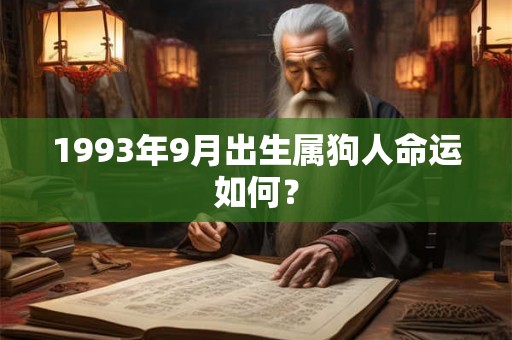1993年9月出生属狗人命运如何？