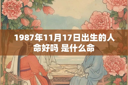 1987年11月17日出生的人命好吗 是什么命