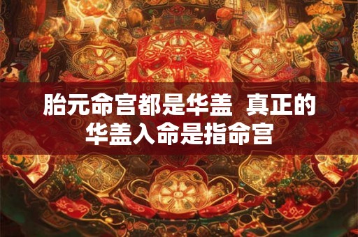 胎元命宫都是华盖  真正的华盖入命是指命宫