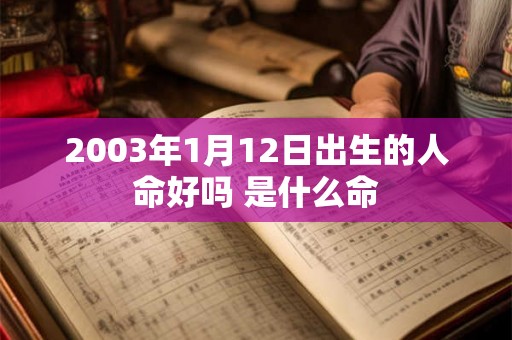 2003年1月12日出生的人命好吗 是什么命
